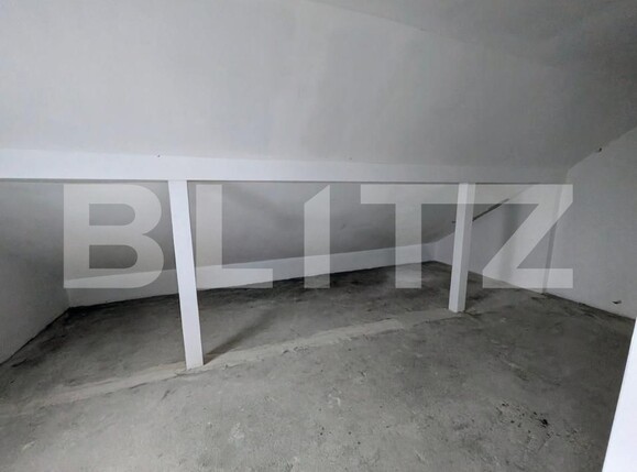 Casa de vânzare 5 camere Balciu - 181402CV | BLITZ Iași | Poza7