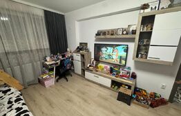 Apartament 2 camere Valea lupului 