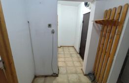 Apartament 3 camere, zona Pacurari