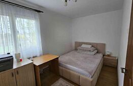 Apartament 3 camere – zona Alexandru cel Bun / Piaţa Voievozi, Iași