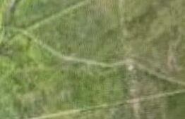 Teren intravilann 1800 mp Aroneanu-Rediu Aldei