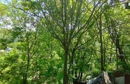 Casa 3 camere 64 mp, 250 mp, Sarariei