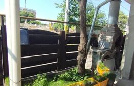 Casa 3 camere 64 mp, 250 mp, Sarariei