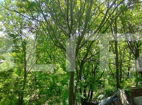 Casa de vânzare 3 camere Sararie - 182493CV | BLITZ Iași | Poza10