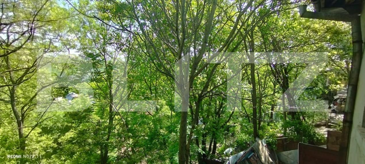 Casa de vânzare 3 camere Sararie - 182493CV | BLITZ Iași | Poza10