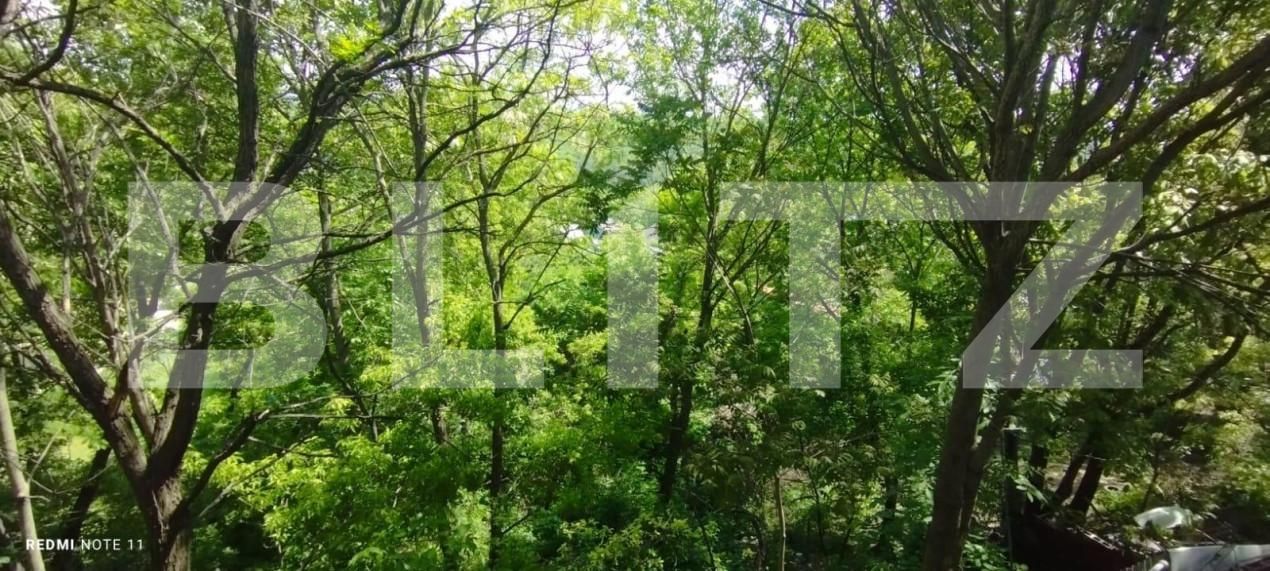 Casa de vânzare 3 camere Sararie - 182493CV | BLITZ Iași | Poza9