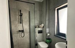 Case 4 camere, 155 mp, Tomesti, Iasi