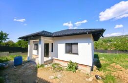 Casa plan parter 4 camere și beci in  Barnova