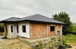 Casa plan parter 4 camere și beci in  Barnova