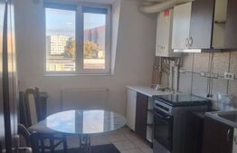 Apartament 2 camere, 55 mp, zona Palas 