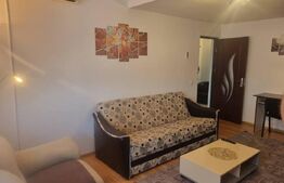 Apartament 2 camere, 55 mp, zona Palas 