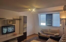 Apartament 2 camere, 55 mp, zona Palas 