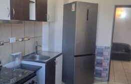 Apartament 2 camere, 55 mp, zona Palas 