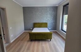 Casă individuală P+1, 127 mp + 495 mp teren, zona Visani