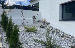 Duplex Premium Hlincea