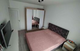 Apartament 2 camere Lunca Cetatuii