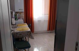 Apartament 2 camere Lunca Cetatuii