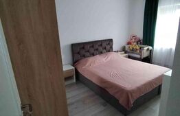 Apartament 2 camere Lunca Cetatuii