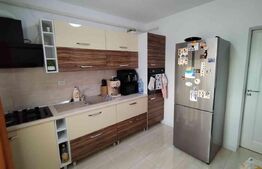 Apartament 2 camere Lunca Cetatuii