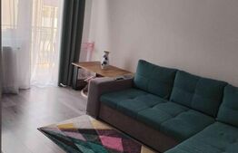 Apartament 2 camere Lunca Cetatuii