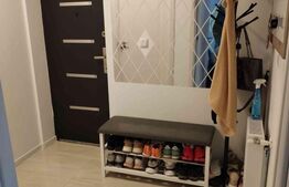 Apartament 2 camere Lunca Cetatuii