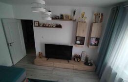 Apartament 2 camere Lunca Cetatuii