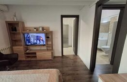 Inchiriez apartament 1 camera | Zona Tudor-Metalurgie |