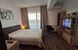 Inchiriez apartament 1 camera | Zona Tudor-Metalurgie |