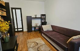 Casă individuala, 538 mp, zona Bucium