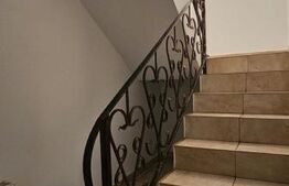 Casă individuala, 538 mp, zona Bucium