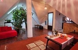 Casă individuala, 538 mp, zona Bucium