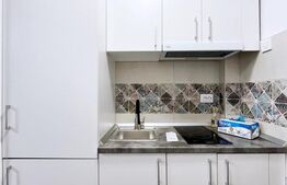 Garsoniera, 21 mp, zona Nicolina