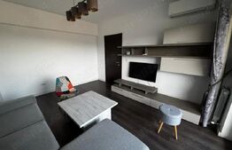 Apartament 2 camere, 50 mp, zona Tatarasi 