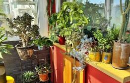 Apartament 2 camere, 50 mp, zona Pod Ros 