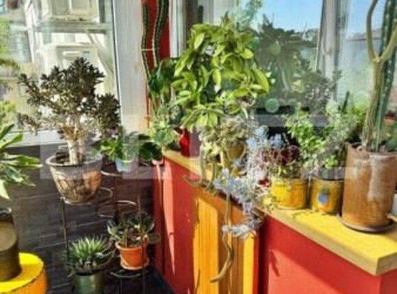 Apartament de închiriat 2 camere Podu Ros - 183745AI | BLITZ Iași | Poza7