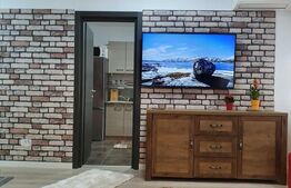 Apartament 1 camera, 36 mp, zona Tudor 