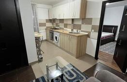 Inchiriere apartament 1 camera | DECOMANDAT | zona Tatarasi |