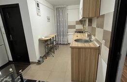 Inchiriere apartament 1 camera | DECOMANDAT | zona Tatarasi |