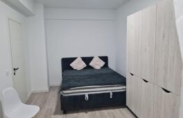 Apartament 1 cameră, 34 mp - Iasi, Visoianu