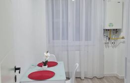 Apartament 1 cameră, 34 mp - Iasi, Visoianu