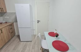 Apartament 1 cameră, 34 mp - Iasi, Visoianu