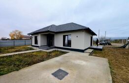 Casa plan parter, 85 mp, 3 camere, teren 350 mp, zona Visani