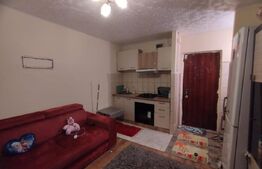 Camera camin, 17 mp, zona Bularga