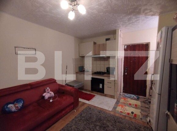 Garsonieră de vânzare Bularga - 184068AV | BLITZ Iași | Poza3