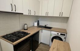 Garsoniera, 30 mp, zona Centru - Cuza Voda