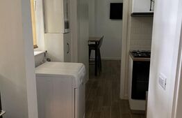 Garsoniera Premium, Centru Cuza Voda, Renovat complet