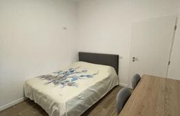 Garsoniera Premium, Centru Cuza Voda, Renovat complet