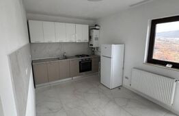 Casa tip Duplex, 90mp, Miroslava (Balciu)