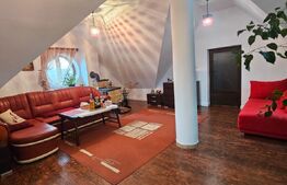 Vila de vanzare, 382 mp, zona Bucium 