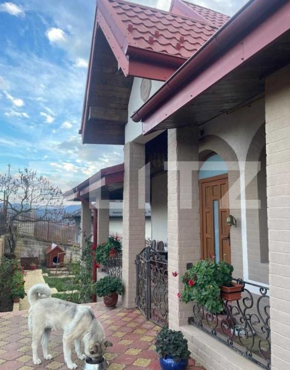 Casa de vânzare 7 camere Bucium - 184177CV | BLITZ Iași | Poza6